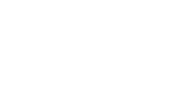 FS